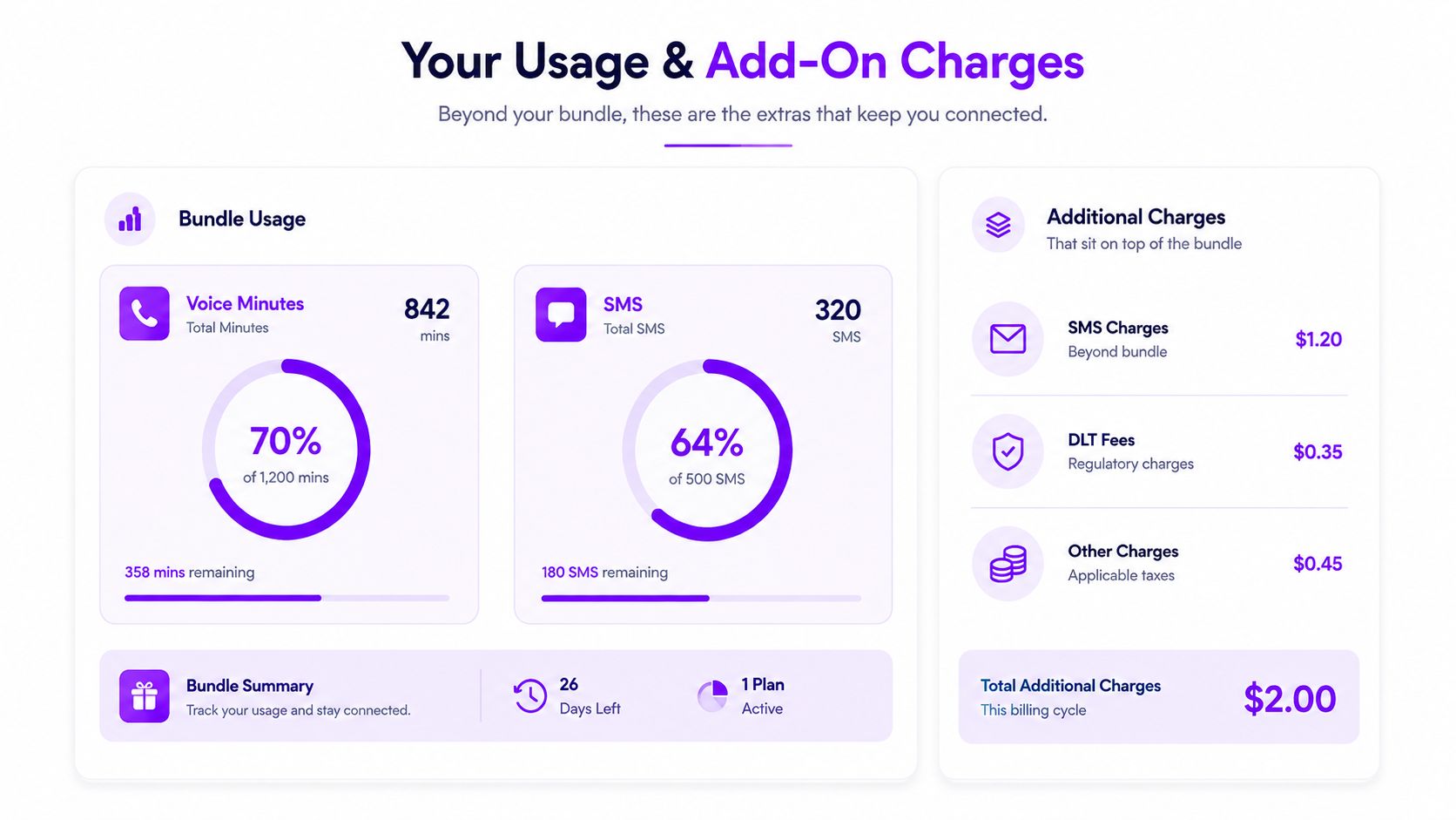 A dashboard showing a customer usage summary with voice minutes, SMS counts, and additional monthly billing charges.
